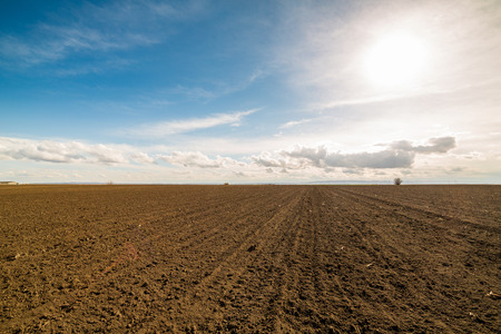 Agricultural landscape, arable crop field. Arable land is the land under temporary agricultural crops capable of being ploughed and used to grow crops.の写真素材