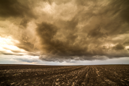 Agricultural landscape, arable crop field. Arable land is the land under temporary agricultural crops capable of being ploughed and used to grow crops.の写真素材