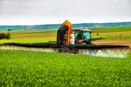 Tractor at field spraying green wheat