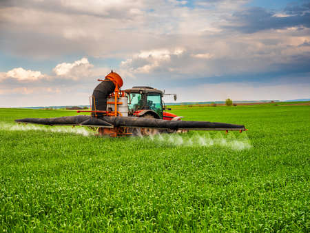 Farmer spraying wheat cropsの写真素材