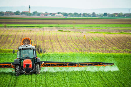 Tractor at field spraying green wheatの写真素材
