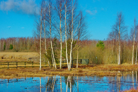 Walk to the sea in springの写真素材