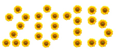 New Year 2015 from the flower of a sunflower isolated on a white backgroundの写真素材