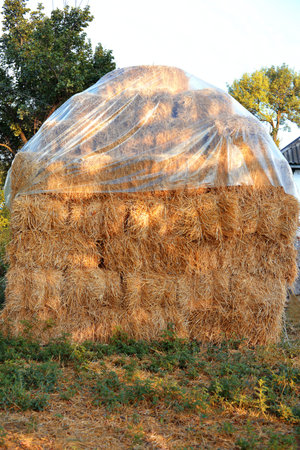 Straw