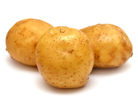 Close up of potatoes on white backgroundの写真素材