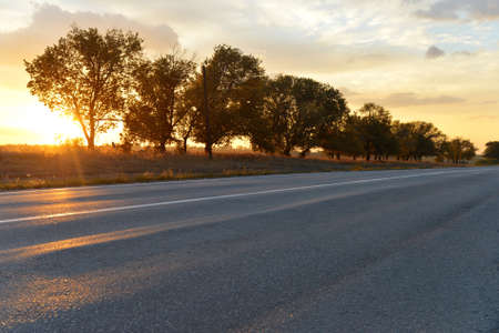 Sunset and road with treesの写真素材