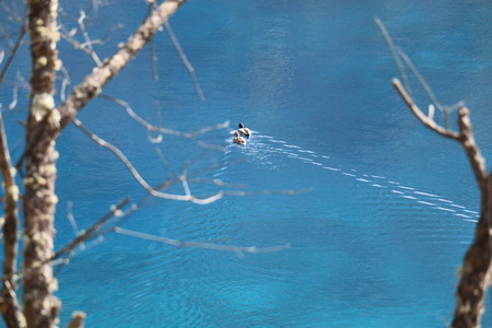 Jiuzhaigouの写真素材