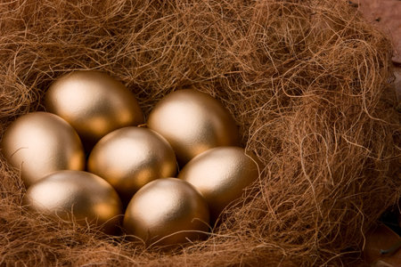 Seven golden egg in nest, shot composition from side.の写真素材