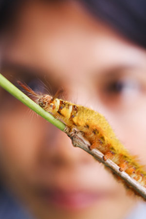 A female student (blur) watching a caterpillar walking along the stick, PS : blur movement of the caterpillar and shallow depth of fieldの写真素材