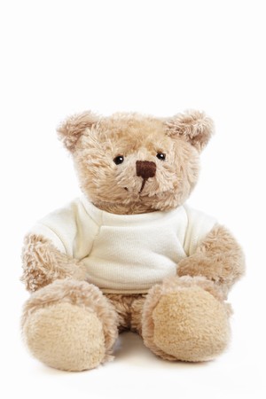 Teddy bearの写真素材