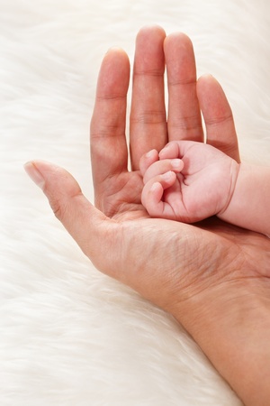 Baby's hand on father's palm over soft fur backgroundの写真素材