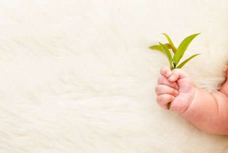 Baby's hand holding young greenplant, for a concept of growth itself. ***This photo has been stitched***の写真素材