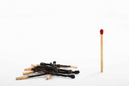 The only unburnt match stick with the pile of burnt ones