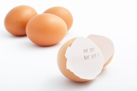 Hatched egg, with mark 21 day in roman number inside the egg shell