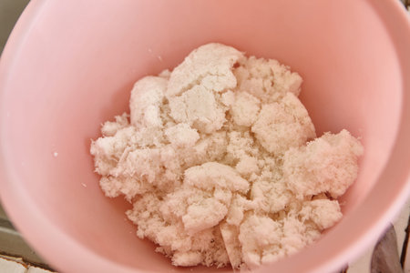 Process making coconut milk from special coconut fruitの写真素材