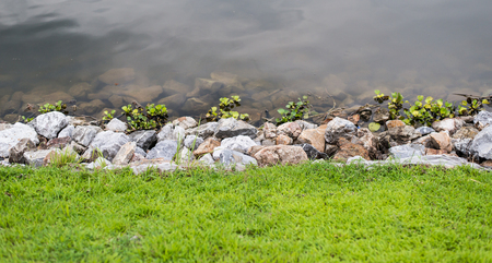 Green grass with stones and water backgroundの写真素材