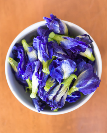 cup of violet purple color flowers of butterfly Pea, Asian pigeonwings ,の写真素材
