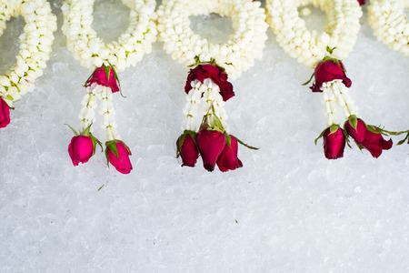 ice Background with Roses , mother's dayの写真素材