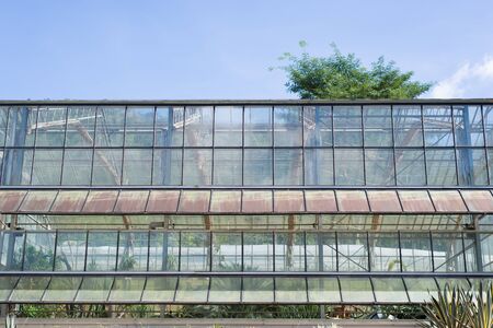 plant nursery , greenhouseの写真素材