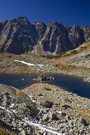 Frog tarnの写真素材