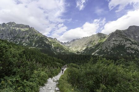 Alpine trailの写真素材