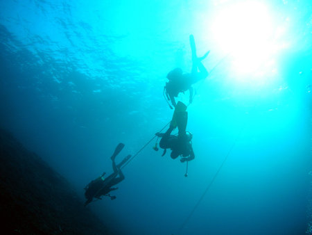 Diver in Miyako     の写真素材