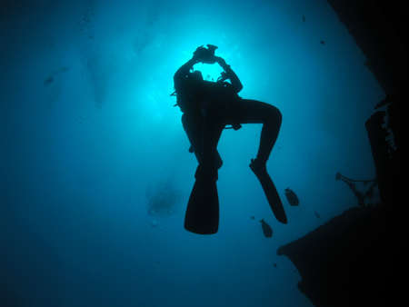 Diver in Red Sea         の写真素材