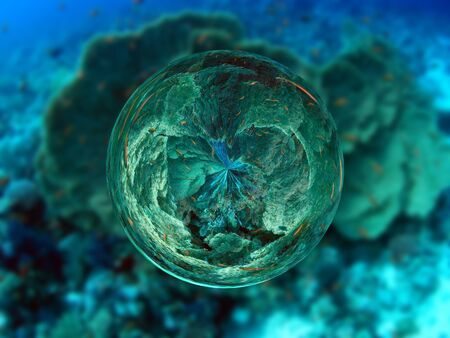 Crystalの写真素材