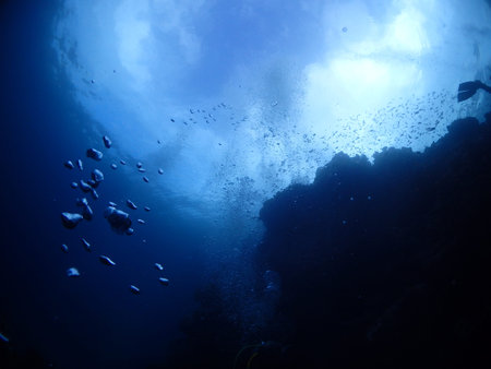 Under water rays in  Kho Ishigaki