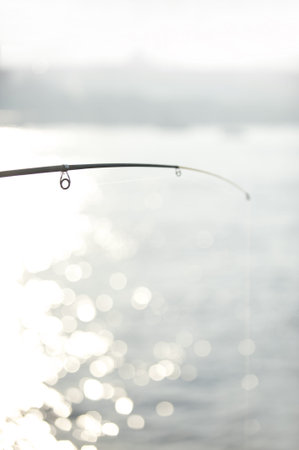 Fishing rod and line over river Bosphorus