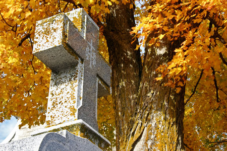 Autumn Grave Stoneの写真素材