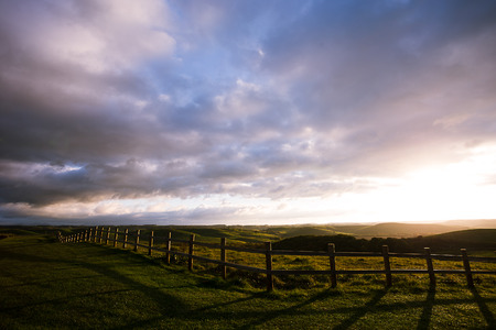 grasslandの写真素材