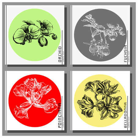 Exotic Flowers Collection: Poinciana, belladonna, fuchsia and orchid cards set, depicted in Japanese style.のイラスト素材