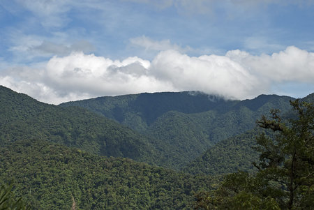 Mountain range in the Braulio Carrillo National Park, Costa Rica