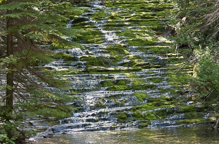 Cascading wilderness brook in the Forillon National Park, Gaspesie, Quebec, Canadaのeditorial素材