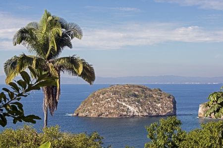 Coastal scenic with islet and palm tree near Puerto Vallarta, Mexicoの写真素材