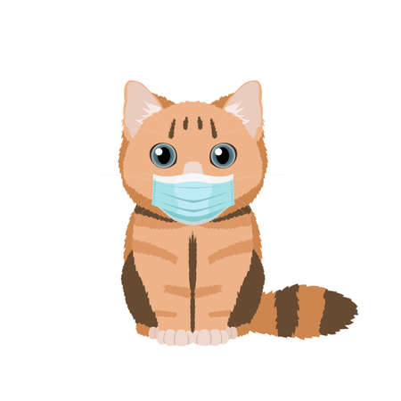 Vector illustration of a funny straight-eared british cat in medical mask isolated on white backgroundのイラスト素材