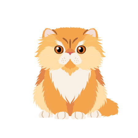Vector portrait of funny red persian cat isolated on white backgroundのイラスト素材