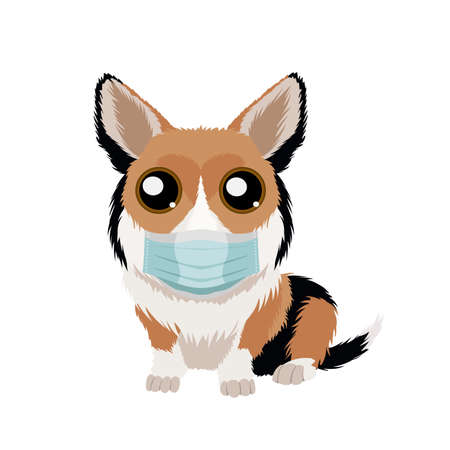 Vector hand drawn illustration of funny welsh corgi pembroke in medical mask isolated on white backgroundのイラスト素材