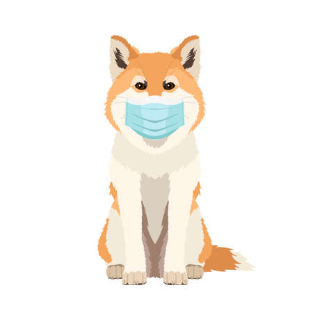 Vector hand drawn illustration of funny akita dog wearing face mask isolated on white backgroundのイラスト素材