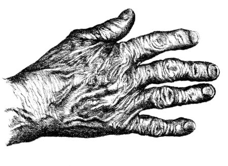 Hand drawn hand of an elderly womanのイラスト素材