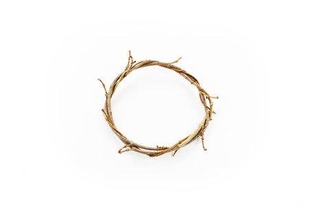 Circle of natural vines, isolated on whiteの写真素材