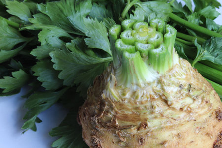 Close view of celeriac bulb with stems removed and in background