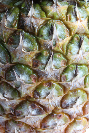 Closeup view of segmented pineapple skin textureの写真素材