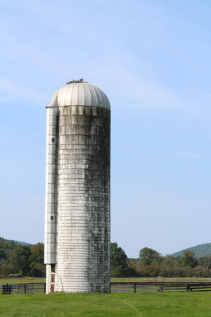 One large grey and white silo in a field of green grassの写真素材