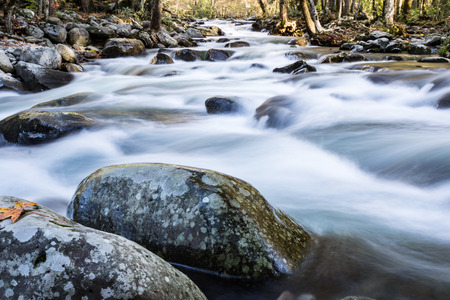 Confluence of branches of a river in the Great Smoky Mountains, horizontal aspectの写真素材