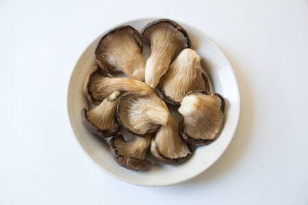 Shallow dish of Pleurotus ostreatus Oyster Mushrooms, isolated on white, centered, food ingredient, horizontal aspectの写真素材