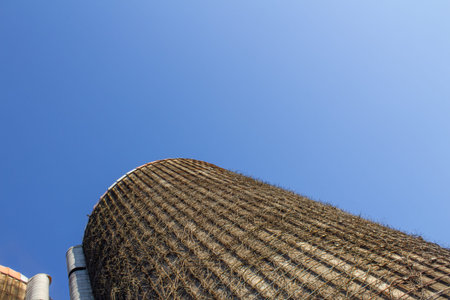 Oblique view looking up the side of an old concrete grain silo covered in dead vines against a blue...