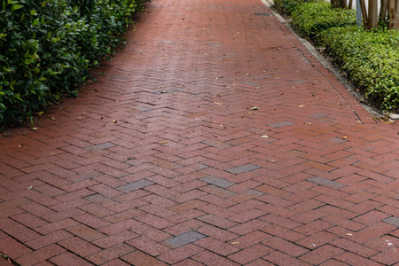 Long brick sidewalk in a herringbone pattern bordered on the sides with low groundcover and bushes,...
