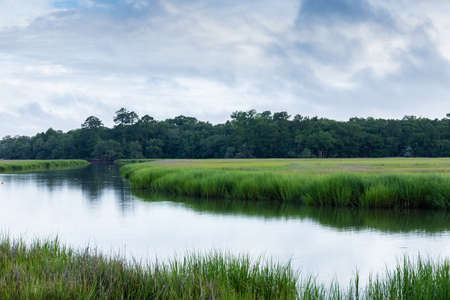 Early morning sunlight reflected in the waterway of a salt marsh, distant treeline and brilliant emerald green grass, horizontal aspectの写真素材